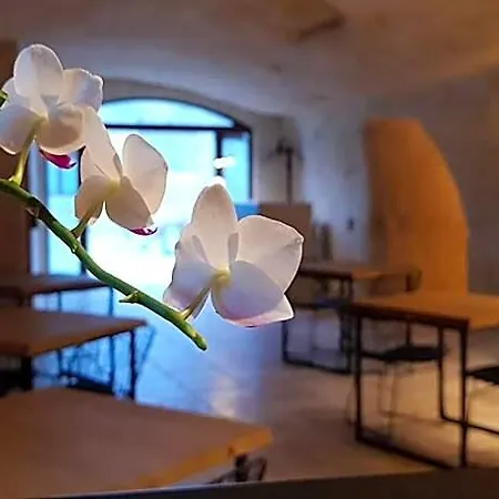 Hotel Masseria Santa Lucia
