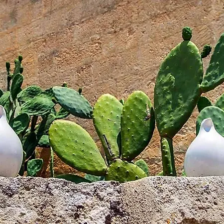 Masseria Santa Lucia Matera