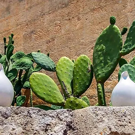 Masseria Santa Lucia